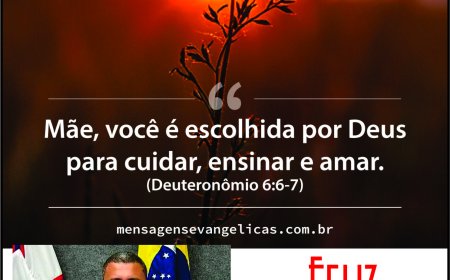 Vereador Wil do Pesqueiro