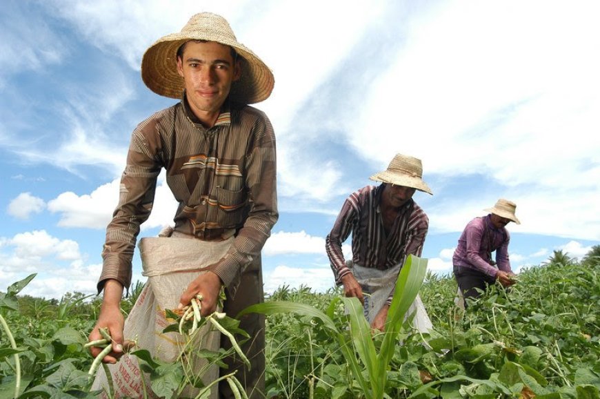 Número de trabalhadores no agronegócio brasileiro bate recorde