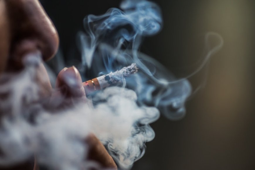31 de maio - Dia Mundial Sem Tabaco