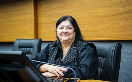 Vereadora Izelda Solicita Estudo para Instalação de Guarda-Corpo em Viaduto de Jordanesia