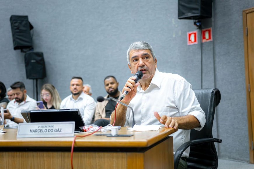 Vereador cobra informações sobre regularização fundiária no bairro Maria Luiza