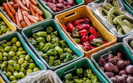 País teve deflação de 0,11% em agosto, puxada por queda em habitação e alimentação