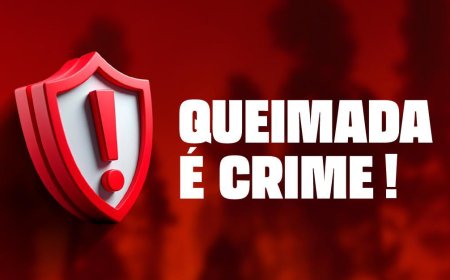 Queimadas em Cajamar: crime ambiental e risco para todos