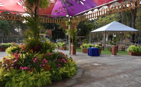 Oktober Polo Jundiaí 2025: 12 cervejarias, mais de 100 torneiras de chope e 50 tipos de cerveja artesanal e muitos shows!