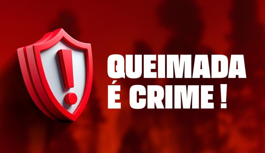 Queimadas em Cajamar: crime ambiental e risco para todos