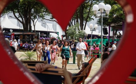 Festa da Uva 2026: Guias de Turismo e Grupos, preparem-se para uma experiência inesquecível!