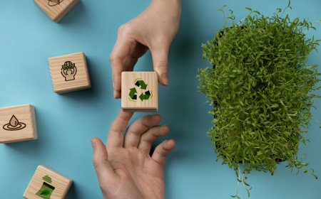 Desmatamento e mudanças climáticas lideram preocupações ambientais no Brasil, mostra pesquisa