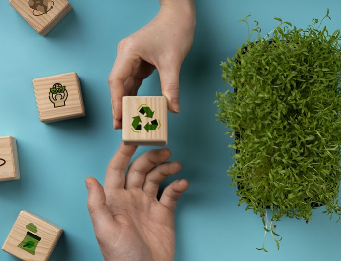 Desmatamento e mudanças climáticas lideram preocupações ambientais no Brasil, mostra pesquisa