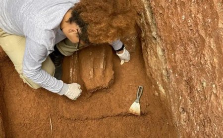 Novo achado arqueológico na Capela dos Aflitos reforça memória negra da Liberdade