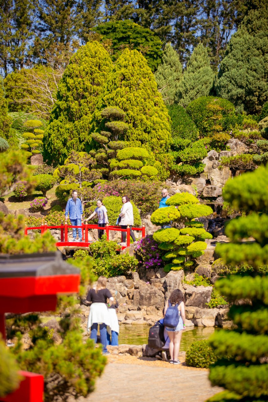 Parque Maeda é destino certo para curtir o feriado em meio à natureza