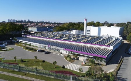 Votorantim Cimentos realiza ação de revitalização e coleta de resíduos em Cajamar (SP)