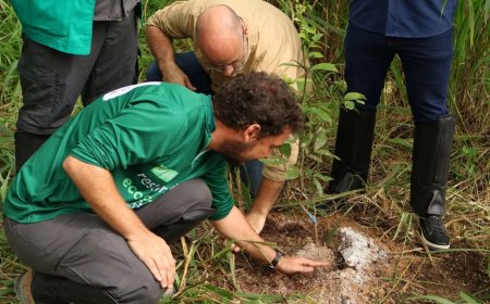 Projeto Restauração Ecológica vai recuperar 200 hectares de áreas degradadas