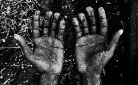 Erradicar o trabalho escravo é nossa prioridade e continuará sendo