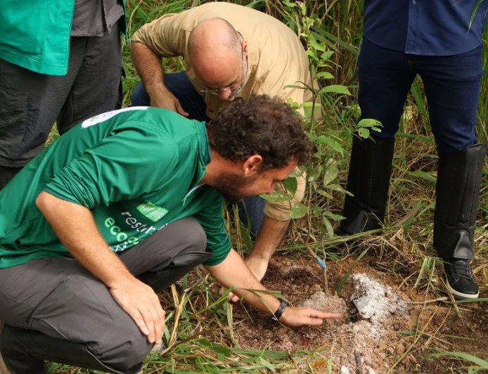 Projeto Restauração Ecológica vai recuperar 200 hectares de áreas degradadas