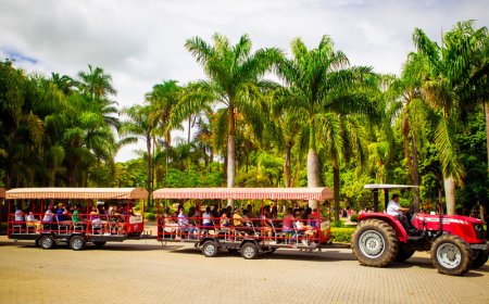 Celebre o Carnaval no Parque Maeda: aventuras, natureza e alegria em família  Complexo turístico estará aberto entre os dias 13/02 e 17/02