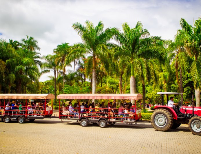 Celebre o Carnaval no Parque Maeda: aventuras, natureza e alegria em família  Complexo turístico estará aberto entre os dias 13/02 e 17/02