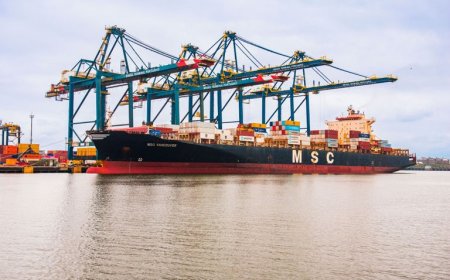 Governo do Brasil zera imposto de importação de quase mil itens e acumula medidas que beneficiam indústria, serviços e população