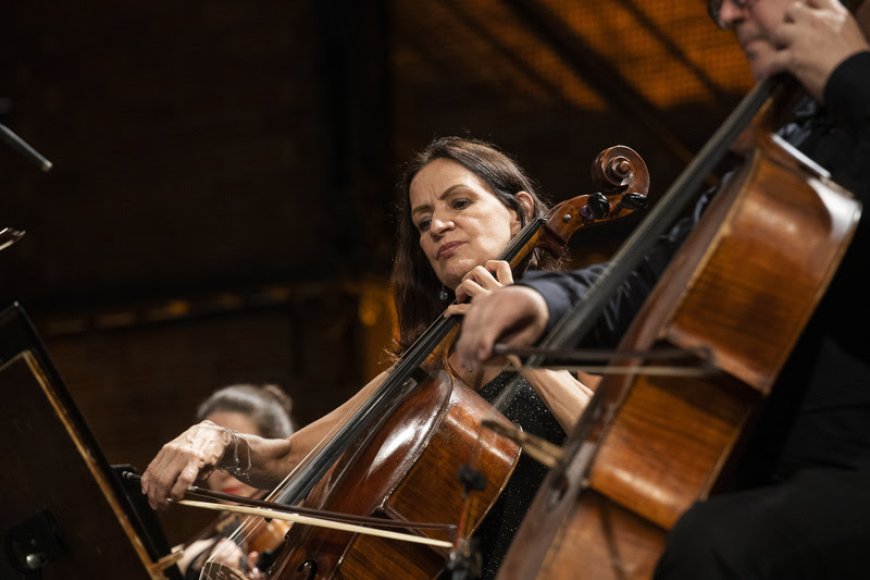 Solar Fábio Prado e Quarteto da Brasil Jazz Sinfônica realizam concerto em homenagem ao Dia Internacional da Mulher